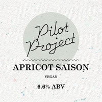 Pilot Project - Untappd - Apricot Saison-1236.jpg