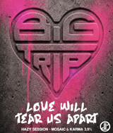 Love will tear us apart 3.9% 